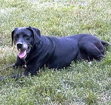 Photo of Sam