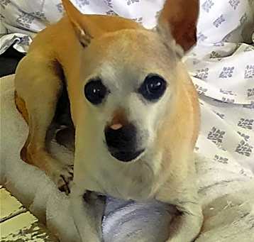 Photo of WALTER