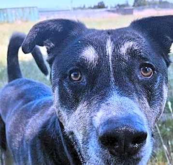 Photo of Max