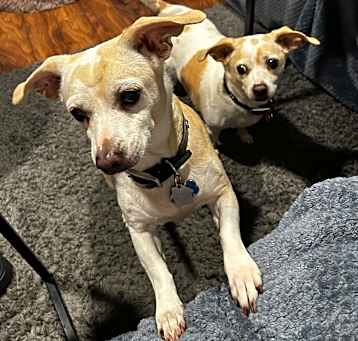 Photo of Hope and Faith