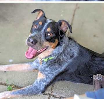 Photo of Oakley