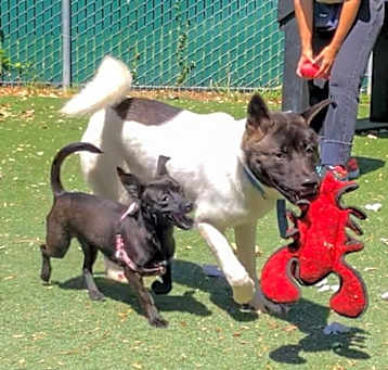 Photo of Ombre & Margarita
