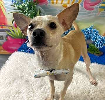 Photo of Lucky Boy