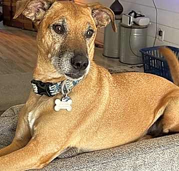 Photo of OTTO