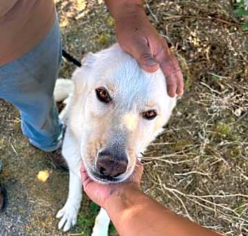 Photo of CASPER