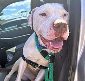 Photo of Finn