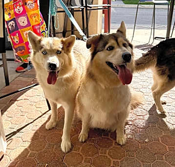 Photo of Winky & Mellow