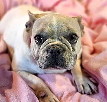 Photo of Rylee