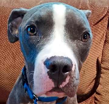 Photo of Maggie (Liyla)