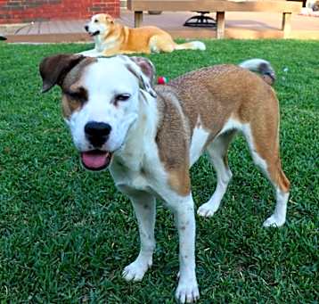 Photo of Kaylee