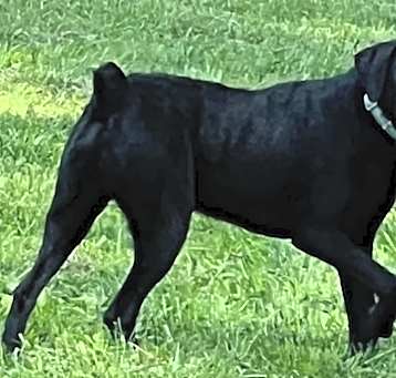 Photo of MERLIN