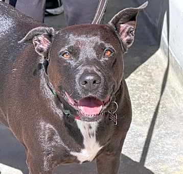 Photo of Lady Jane