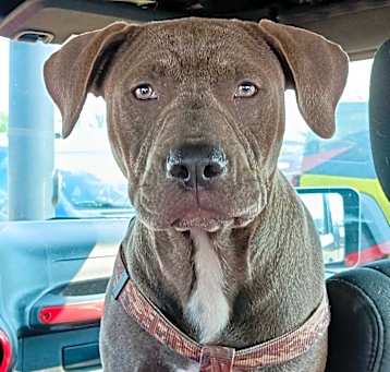 Photo of Calypso