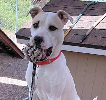 Photo of Hercules