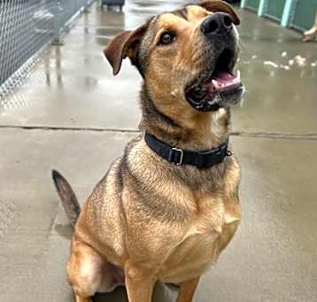 Photo of Sparky