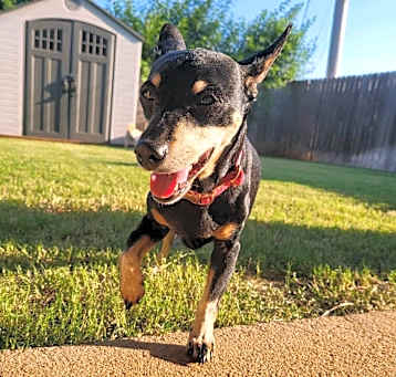 Photo of Dorothy