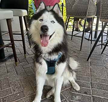 Photo of Zeus