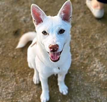 Photo of Mimi