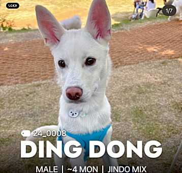 Photo of DING DONG [띵동]