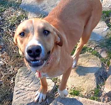 Photo of Jester