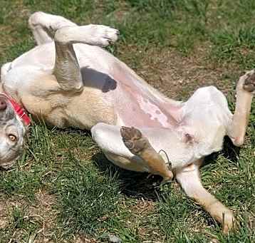 Photo of Ginna