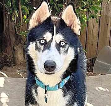 Photo of Aspen