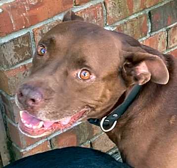 Photo of Hershey