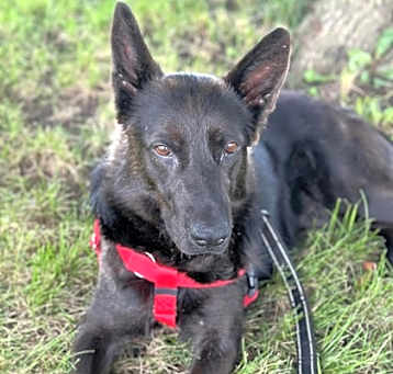 Photo of Charlotte