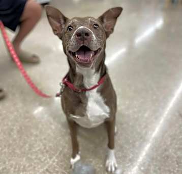 Photo of Penny