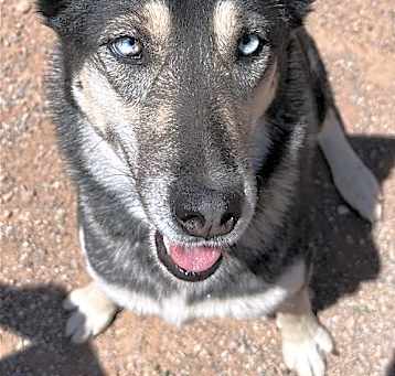 Photo of Apache