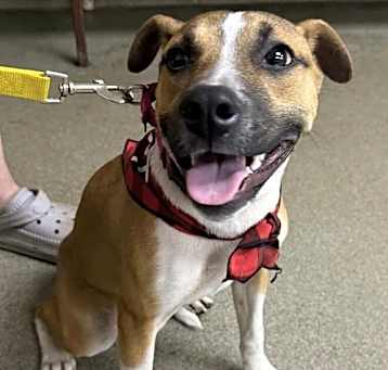 Photo of Baby Jane (AL)