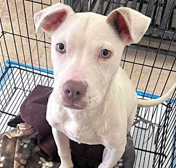 Photo of Lena (GA)