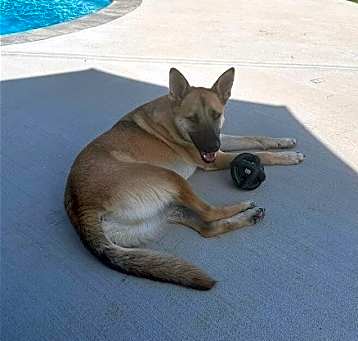 Photo of Barry (TX)