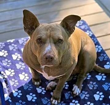 Photo of Mindy (TN)