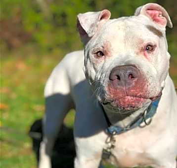 Photo of Jeter