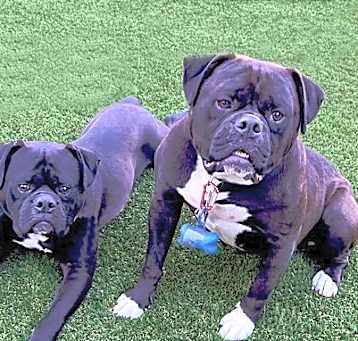 Photo of Jack and Betty