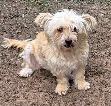 Photo of Heidi