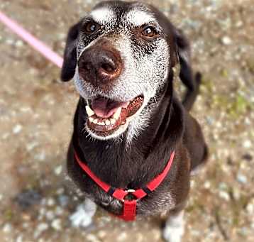 Photo of Remington