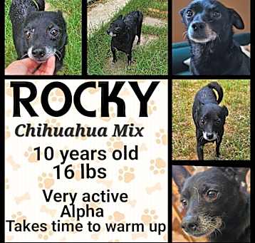 Photo of Rocky