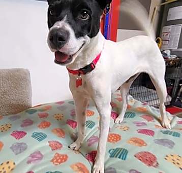Photo of BELLA