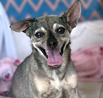 Photo of Vera