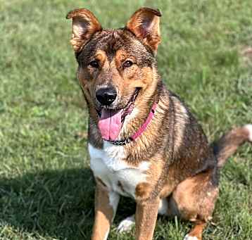 Photo of Dax