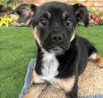 Photo of Matilda