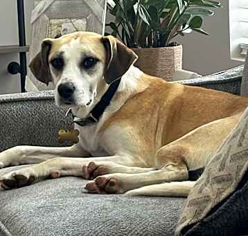 Photo of Zoey