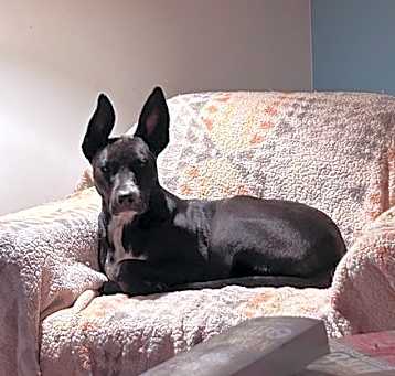Photo of Jess