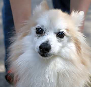 Photo of Hansel