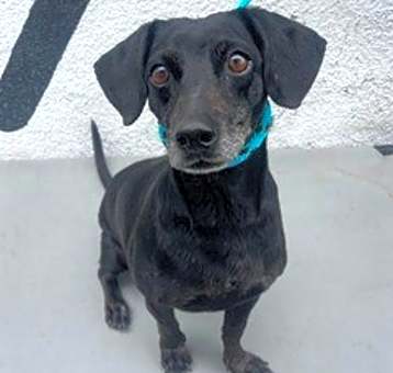 Photo of Thelma
