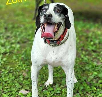 Photo of Zolivia