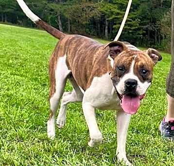 Photo of CHECKER