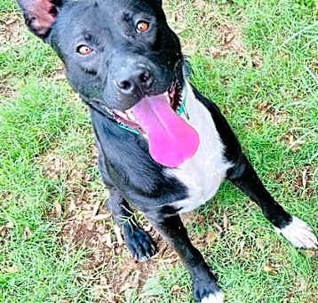 Photo of Bark Wahlberg